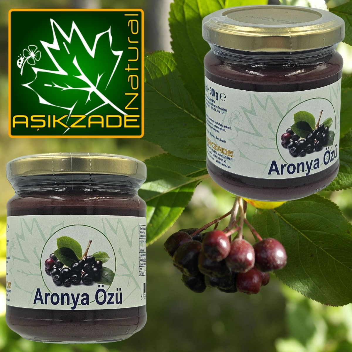 Aşıkzade Aronya Özü 300g