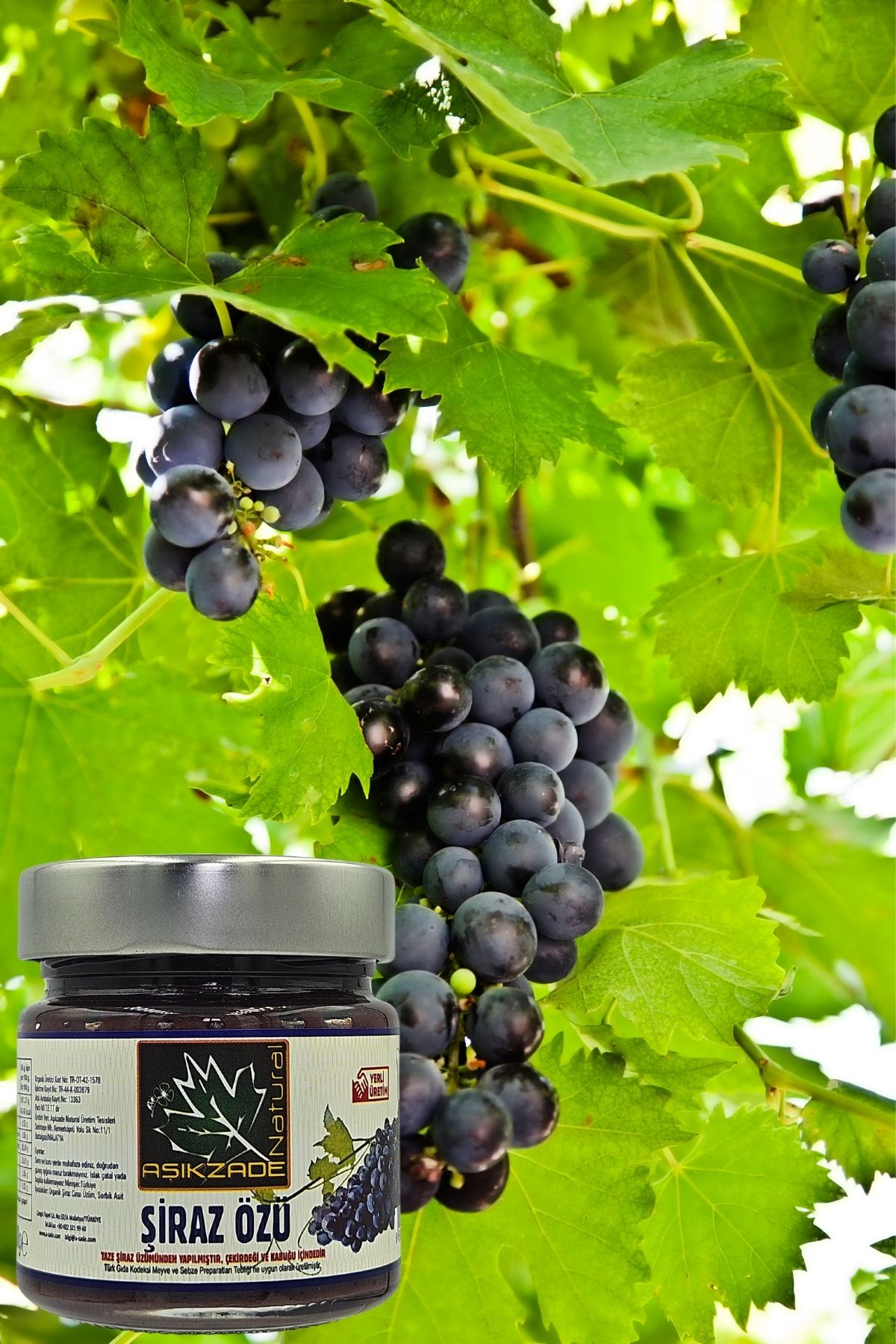 Aşıkzade Şiraz Özü 255 Ml 300 G