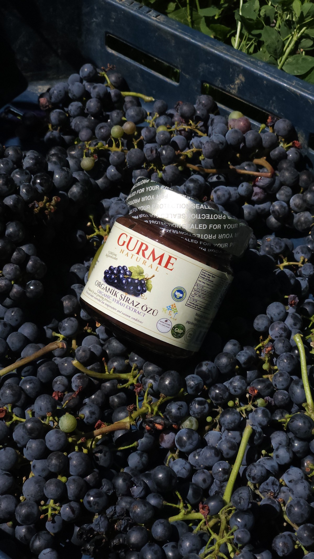 Gurme Natural 255 Ml Organik Şiraz Özü