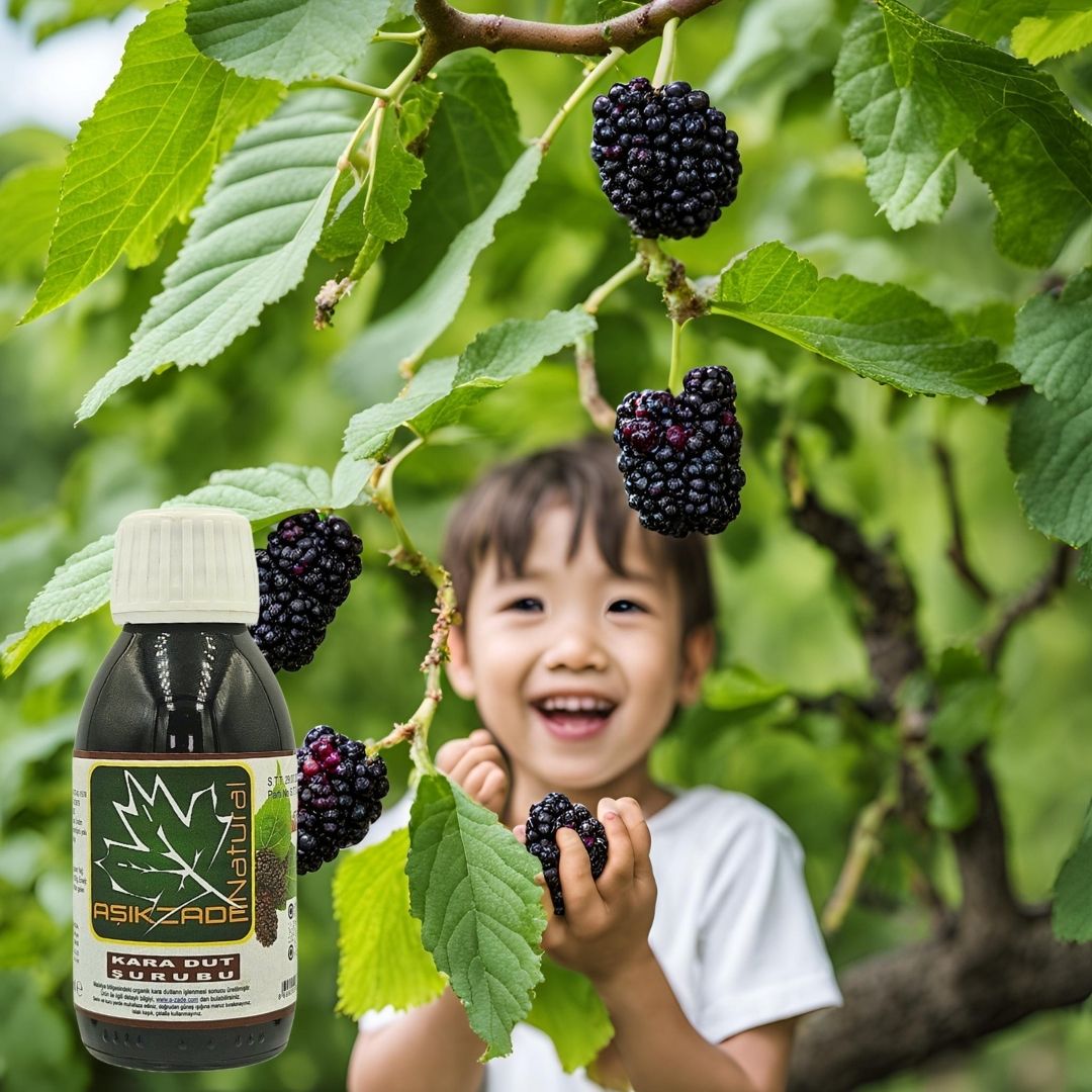 Aşıkzade Karadut(horum Dutu) Şurunbu 125 Ml