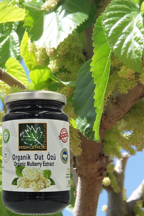 Aşıkzade Organik Dut Özü 370 Ml 480g