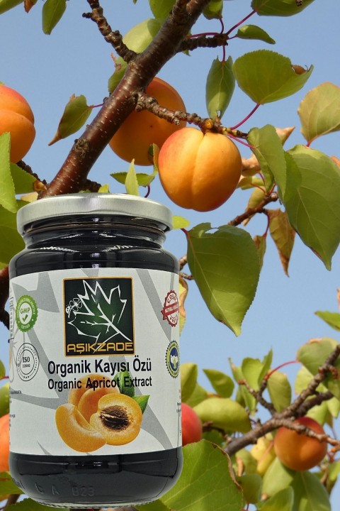 Aşıkzade Organik Kayısı Özü 370 Ml 480 G