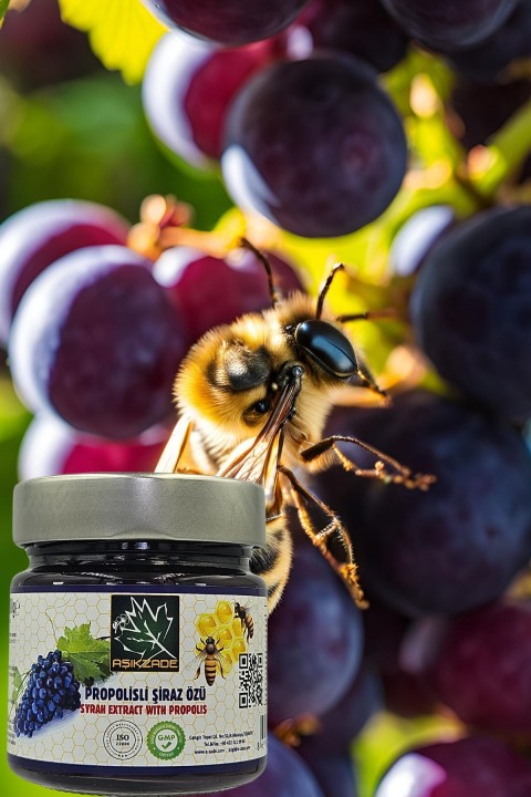 Aşıkzade Propolisli Şiraz Özü 255ml 280g